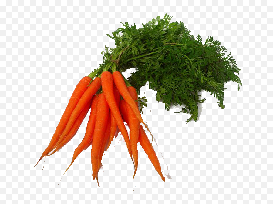 Carrot Png Transparent Images - Transparent Vegetable Photo Png,Carrot Transparent Background