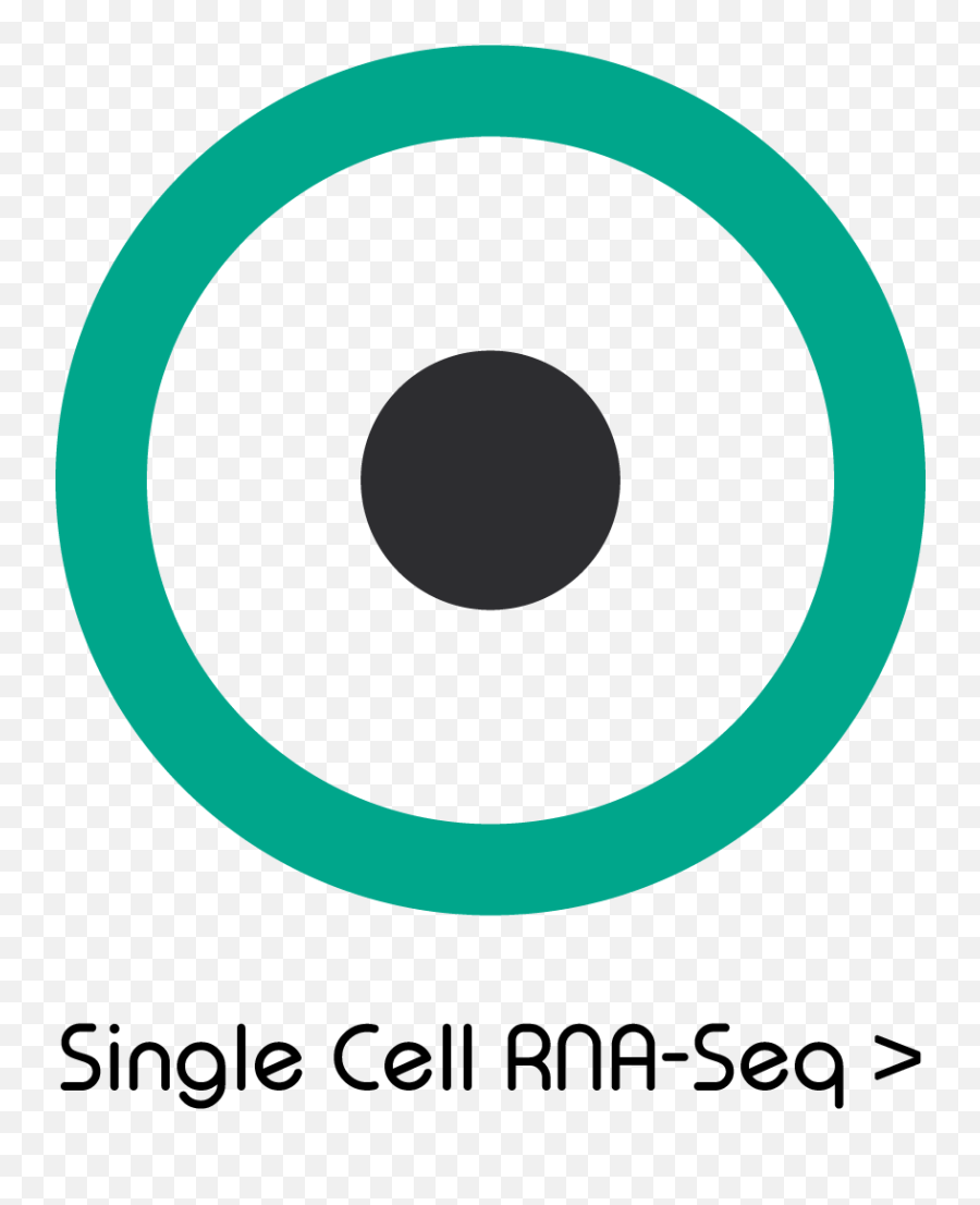 Single Cell Rna - Seq Scrnaseq Dolomite Bio Technology Dot Png,Music Note Flat Icon