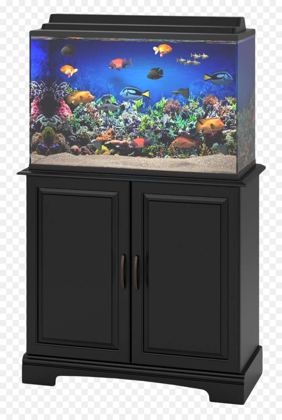 Aquarium Life Transparent Background - Fish Aquarium Tank Png,Tank Transparent Background