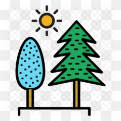 Evergreen Trees Icon - Times Square png