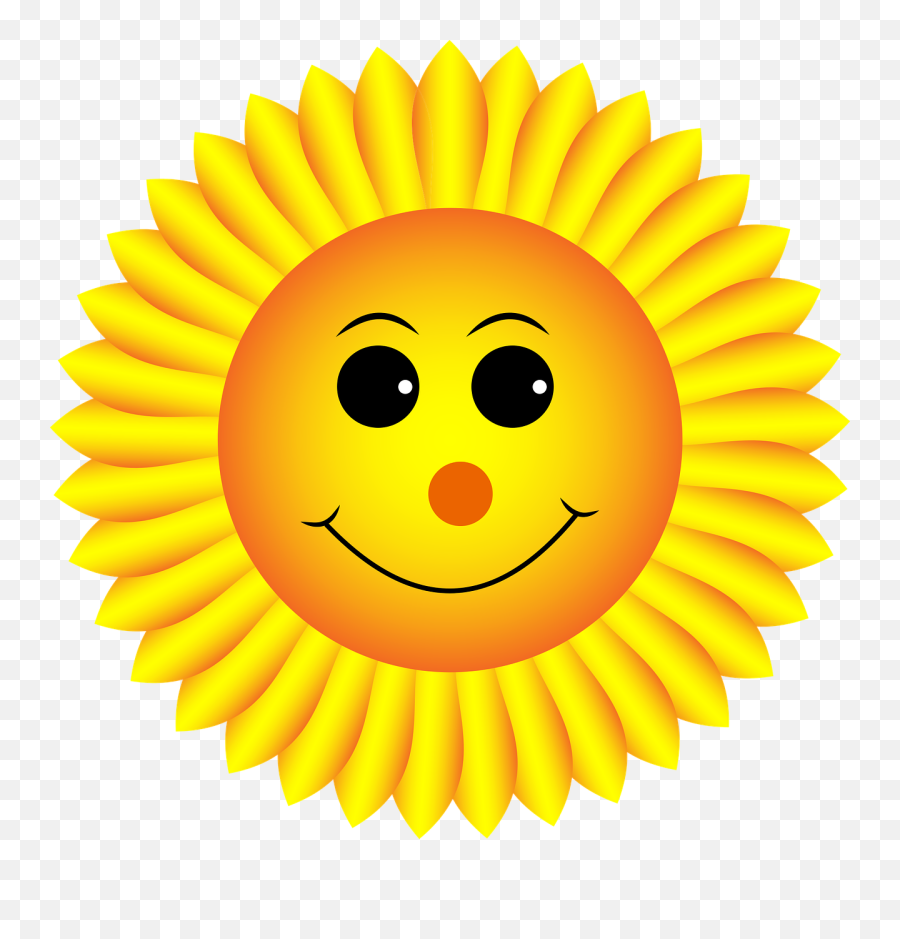 Sunflower Smiley Face - Smile Sunflower Png,Emoji Faces Png