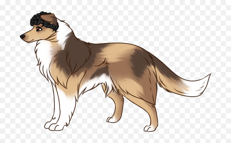 Bruce Banner - Scotch Collie Png,Bruce Banner Png