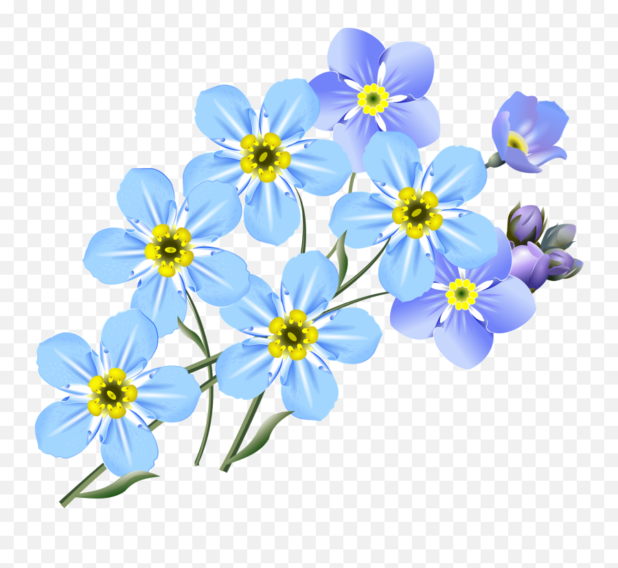 Drawing Forget - Drawing Forget Me Nots Png,About Me Png