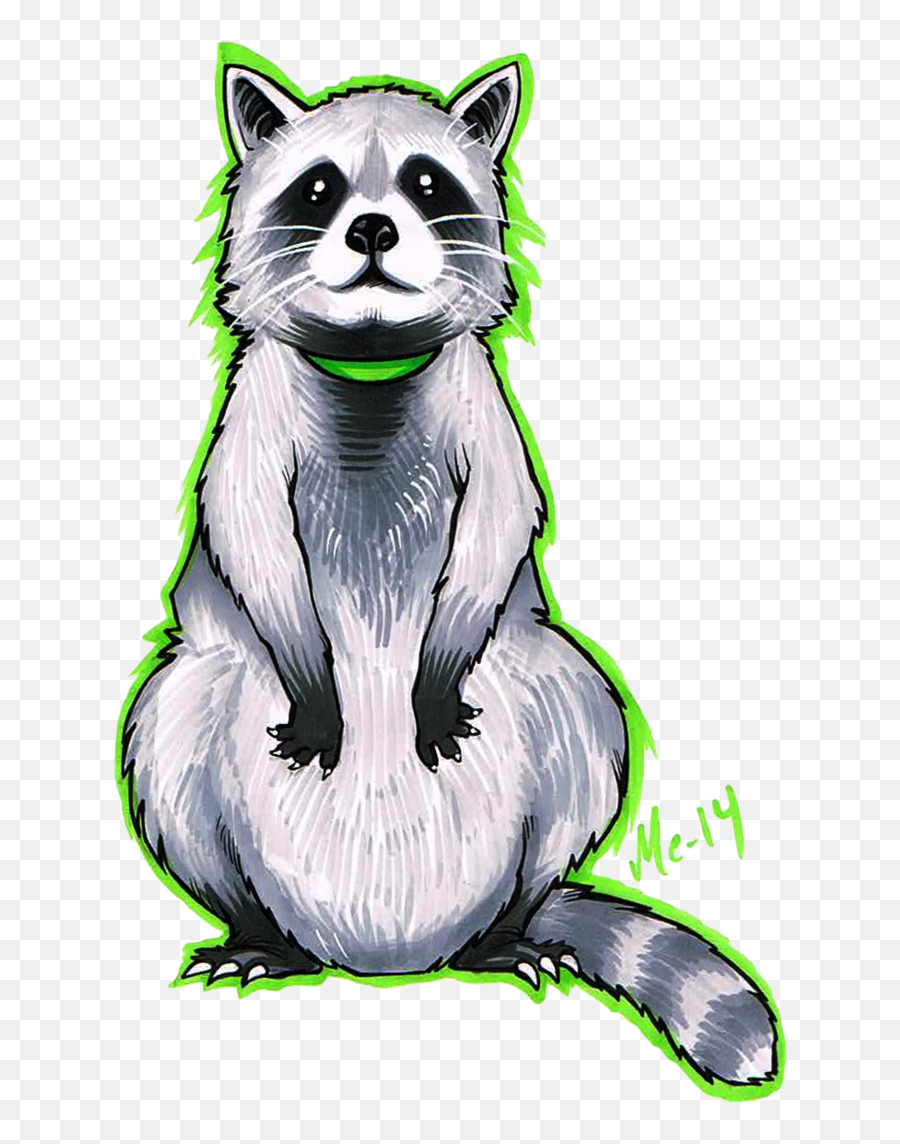 Download Hd Drawing Raccoon Portrait - Raccoon Transparent El Mapache En Dibujo Png,Raccoon Transparent