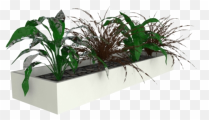 Proceed Planter Box 1200w - Flower Box Png,Planter Png
