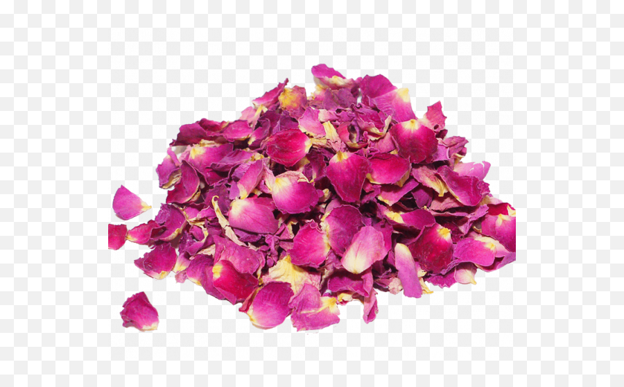 Dried Rose Petals - Foodbiotic Rose Pink Dry Png,Rose Petal Png