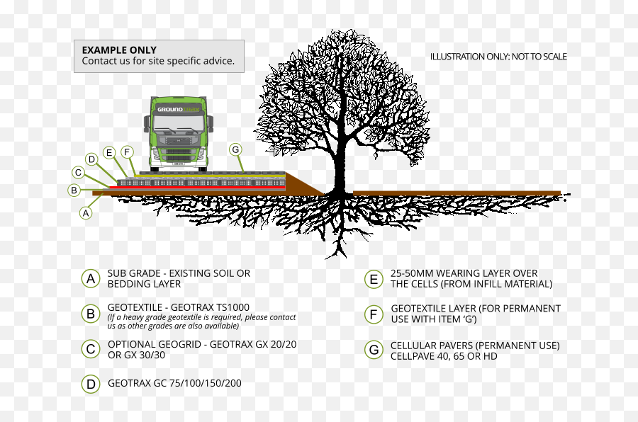 Tree Root Protection U2013 Example Groundtrax - Cellular Confinement System Png,Tree With Roots Png