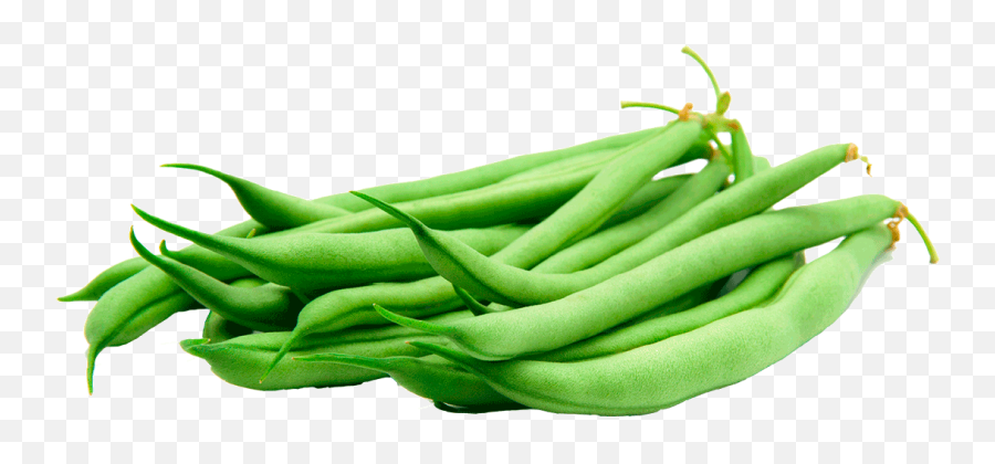 Green Beans Transparent - Green Beans Transparent Background Png,Beans Png