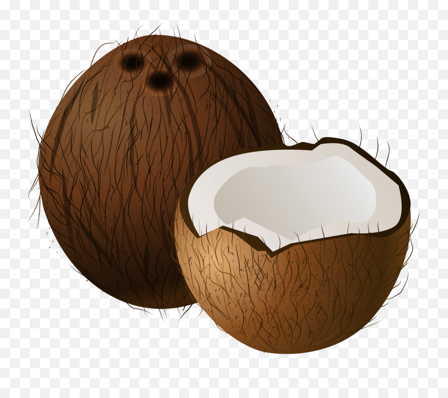 Coconut Clipart Clear Background - Clip Art Coconut Png,Coconut Transparent