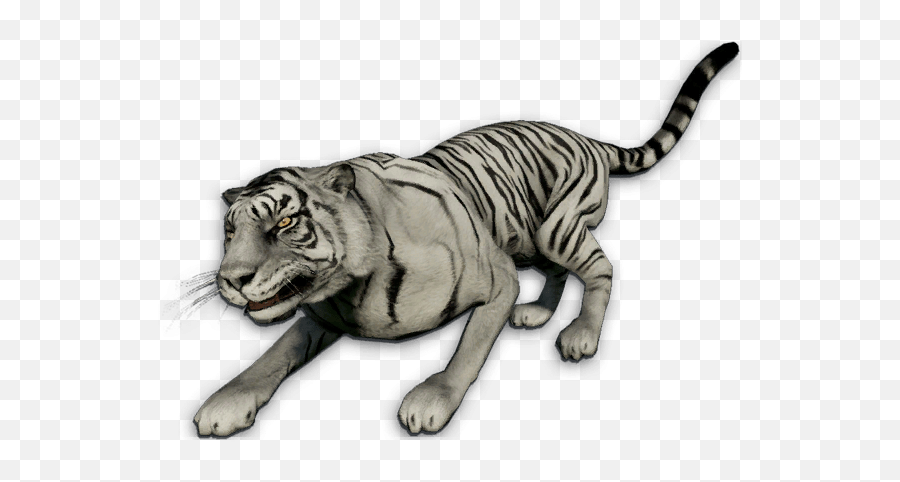 White Tiger - Far Cry 3 White Tiger Png,White Tiger Png