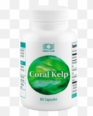 Coral Kelp - Coral Club International Png,Kelp Png