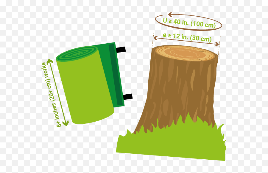 Logs Clipart Tree Bark - Tree Stump Transparent Cartoon Cylinder Png,Stump Png