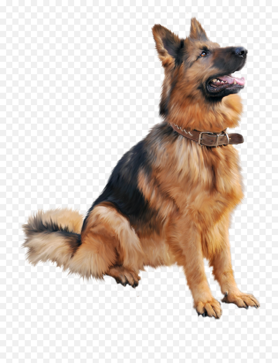 Cutest Dog Sitting Png Image For Free - Dog Png,Dog Sitting Png