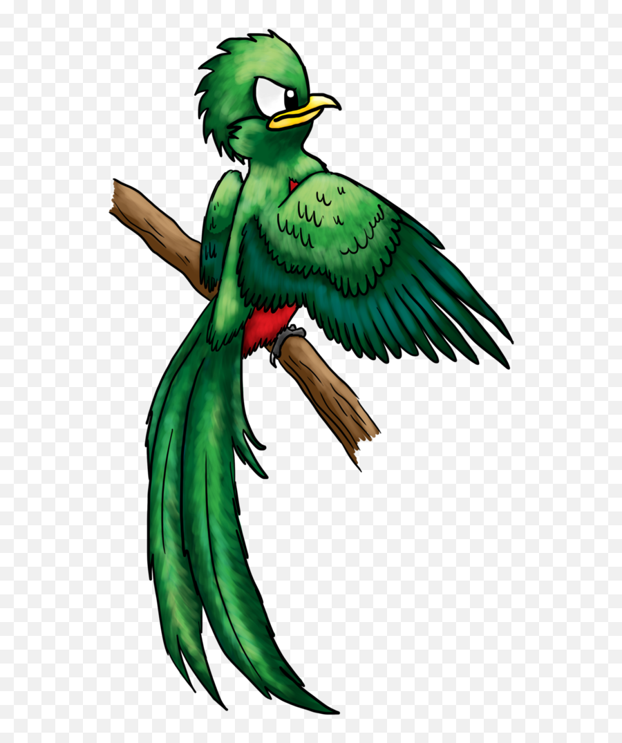 Quetzal Angry Birds Transparent Png - Quetzal Bird Drawing,Quetzal Png