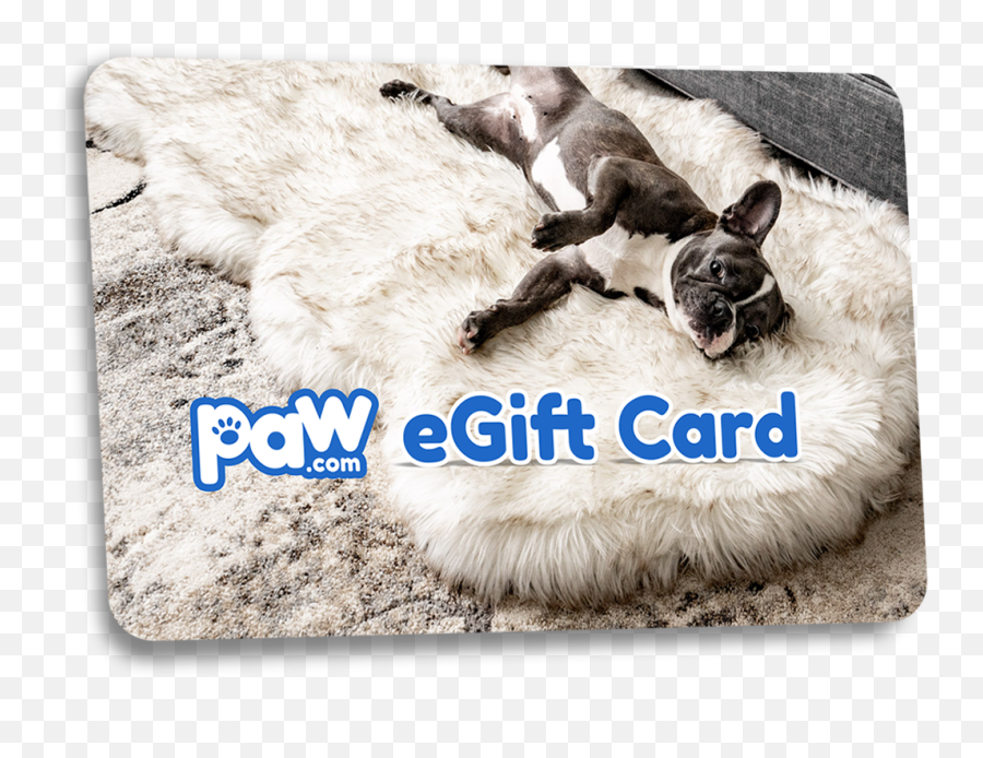 Orthopedic Dog Beds That Look Like A Rug Paw Brands U2013 Pawcom - Mat Png,Dog Print Png