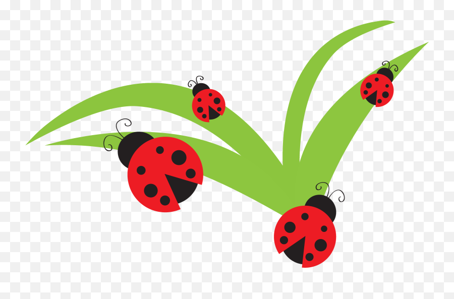 Insect Clipart Bug Transparent Free For Download - Lady Bug Clipart Png,Bugs Png