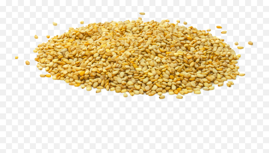 Transparent Cereal Maize Picture 1221592 - Sesame Seeds Png,Corn Transparent Background