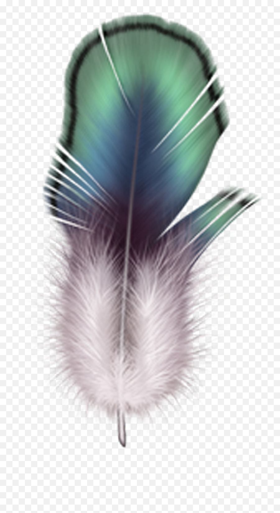 Firebird Feather Drawing - Feather Png Download 44174500 Feathers,Firebird Png