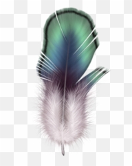 Firebird Feather Drawing - Feather Png Download 44174500 Feathers,Firebird Png