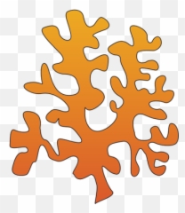Seaweed Clipart - Drawing Of Red Algae Png,Algae Png