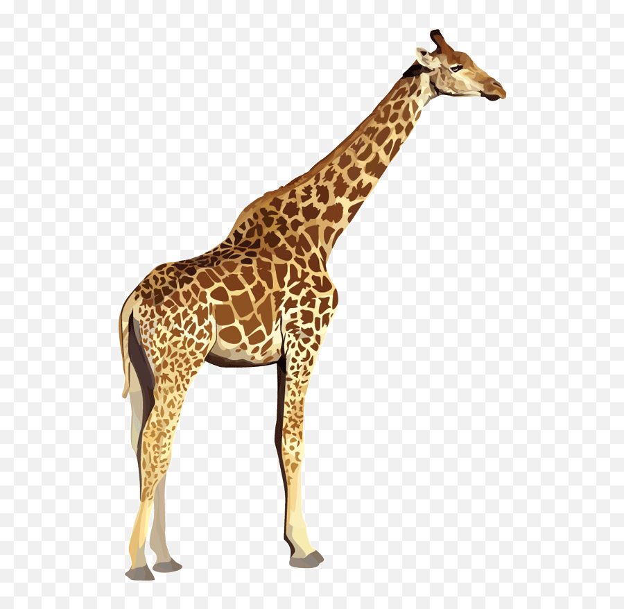 Zoo Animals No Background - Zoo Animals With Transparent Background Png,Animals Transparent Background