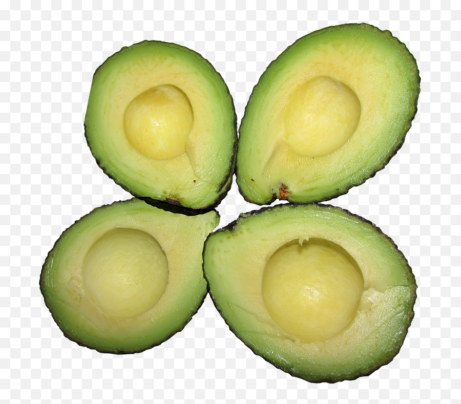 Avocado Food Healthy - Free Photo On Pixabay Png,Avocado Transparent Background