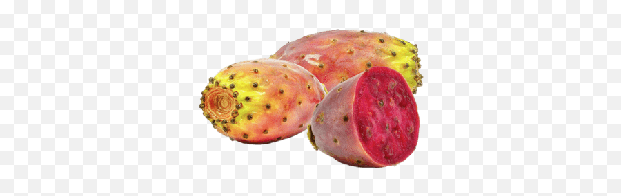 Plantain Transparent Png - Stickpng Opuntia Ficus Indica Seed Oil,Cactus Clipart Png