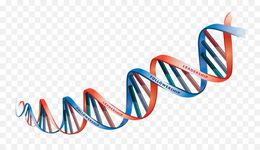 Dna Png Transparent Picture - Dna Strand Transparent Background,Dna Transparent Background