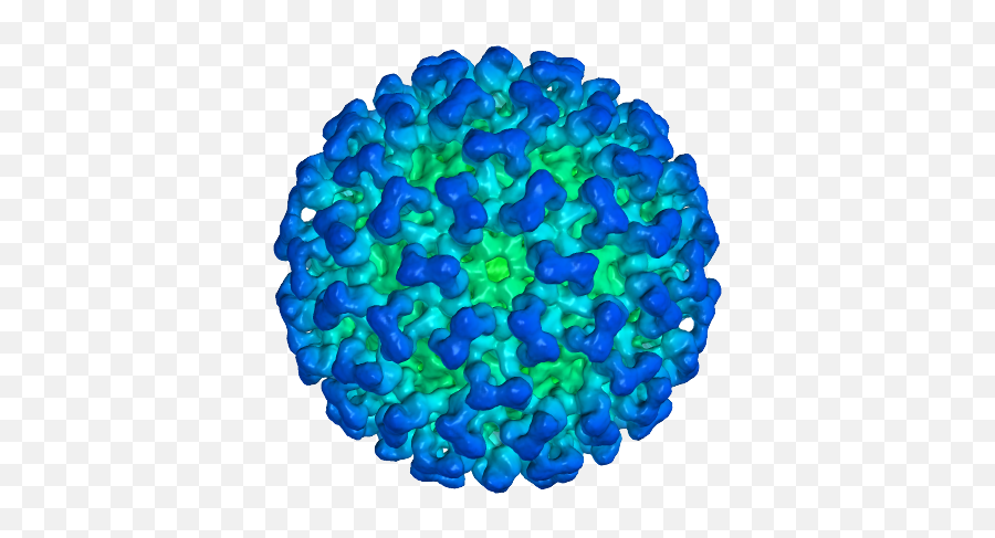 Covid - Corona Virus Png File,.png Images