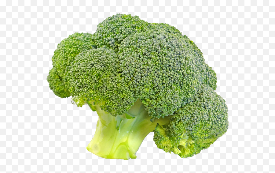 Broccoli Vegetable Wallpaper - Transparent Background Broccoli Transparent Png,Cauliflower Png