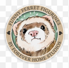 Forever Home Studios - Panda Png,Ferret Png