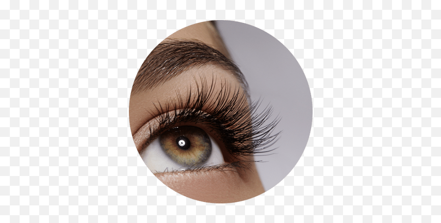Eyelash Extensions Facial U0026 Skin Care Treatments - Eyelash Png,Eye Lash Png