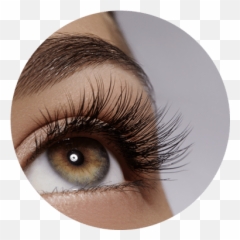 Eyelash Extensions Facial U0026 Skin Care Treatments - Eyelash Png,Eye Lash Png
