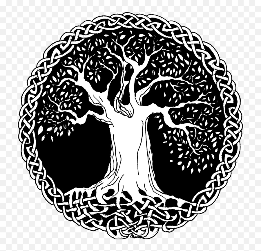 Download Hd Tree Of Life - Celtic Tree Of Life Png,Tree Of Life Png