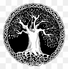 Download Hd Tree Of Life - Celtic Tree Of Life Png,Tree Of Life Png