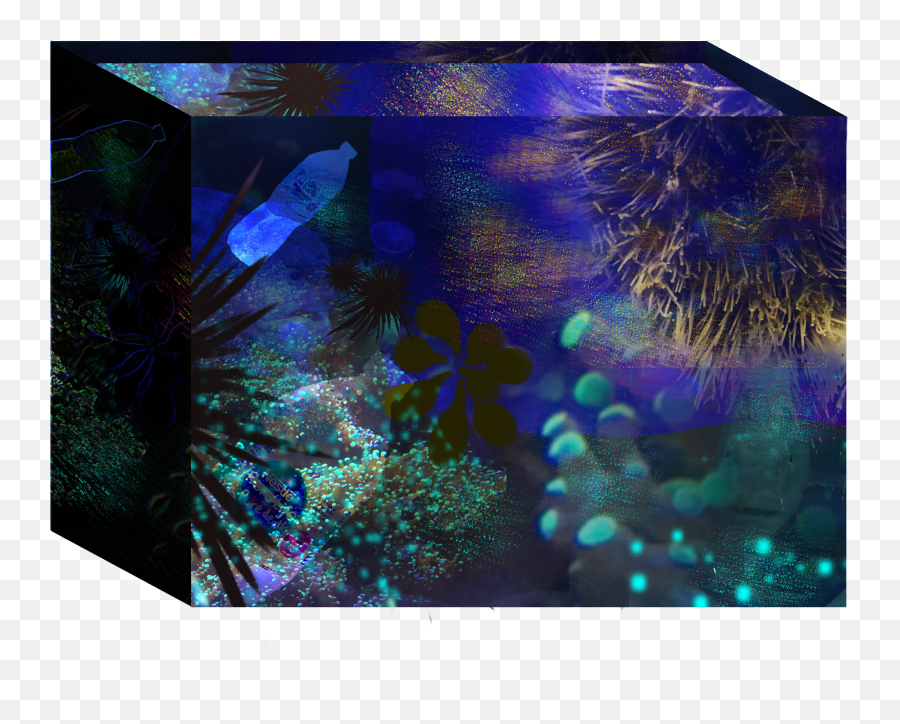 Filefishtank Photocollagepng - Wikimedia Commons Underwater,Fish Tank Png