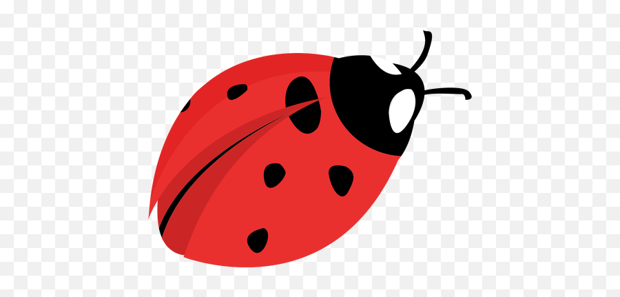 Free Free 63 Transparent Background Ladybug Svg Free SVG PNG EPS DXF File