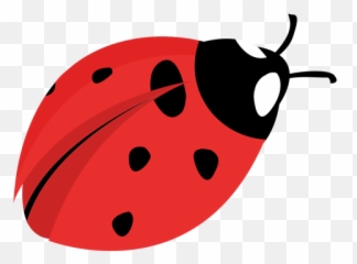 Transparent Png Svg Vector File - Mariquita En Png,Lady Bug Png