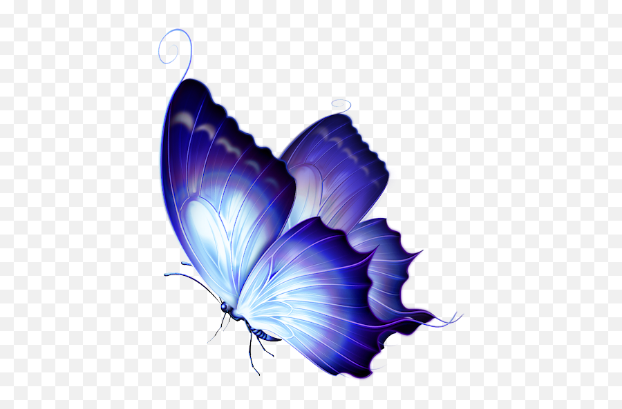 Download Hd Svetlera - Purple And Gold Blue Purple Butterflies Png,Gold Butterfly Png