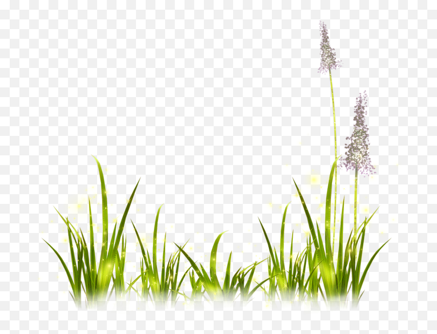 Portable Network Graphics Image Clip Art Lavender Painting - Clipart Lavender Transparent Background Png,Grass With Transparent Background