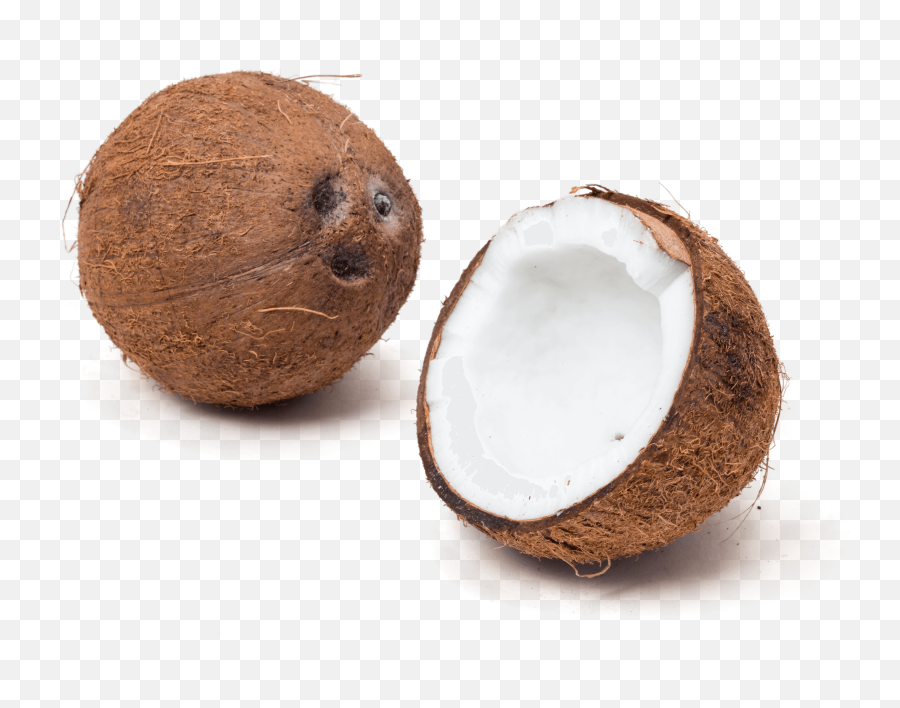 Coconut Png Transparent 5 Image - Raw Coconut Meat Png,Coconut Transparent