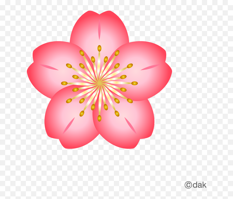Directory 135 - Cherry Blossom Flower Png,Sakura Png