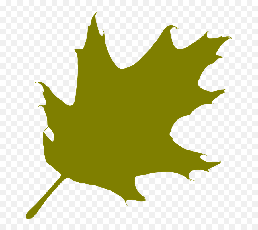 Leaf Silhouette Png Transparent Clipart - Transparent Oak Leaves Silhouette,Leaf Silhouette Png