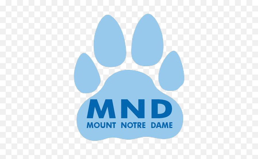 Varsity Soccer Defeated Oak Hills 2 - Mount Notre Dame Logo Transparent Png,Notre Dame Logo Png
