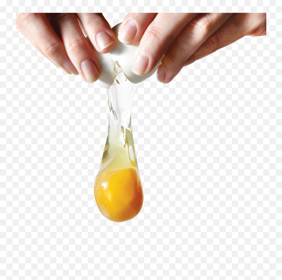 84 Eggs Png Images Are Free To Download - Egg Yolk Png,Cracked Egg Png