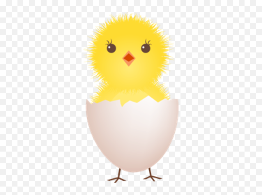 Chicken Egg Shell Icon - Clip Art Baby Bird Egg Png,Egg Icon Vector