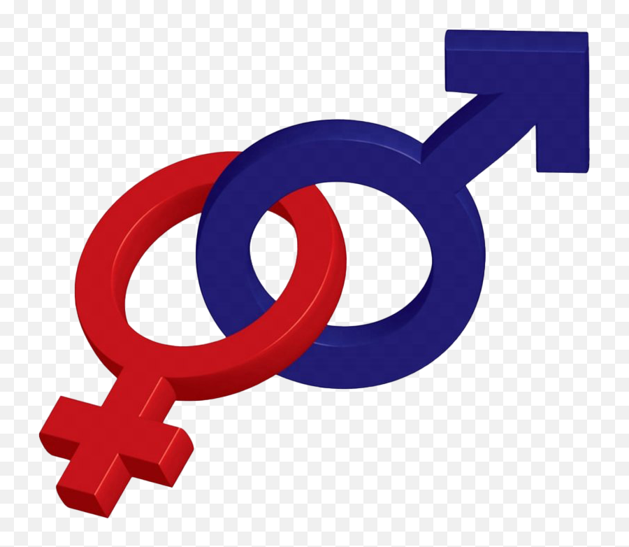Gender Png Transparent Images All - Transparent Background Male Female Symbol Png,Gender Icon Meanings