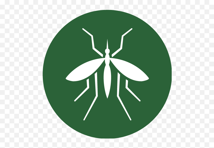 Mosquitoes - Maines Best Choice Pest Management Png,Mozzie Icon