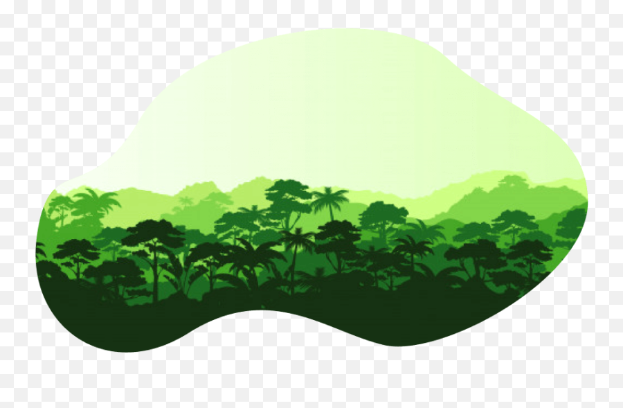 Reddplus U2013 A Central Registry And Exchange For Redd Results - Tropical Forest Silhouette Png,Tree Plus Icon