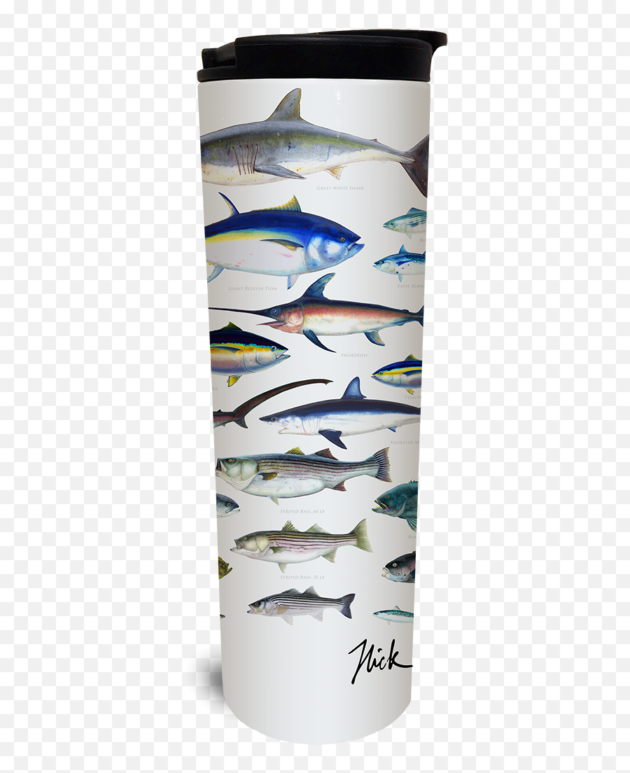 Ocean Fish Tumbler - Sardine Png,Ocean Fish Png